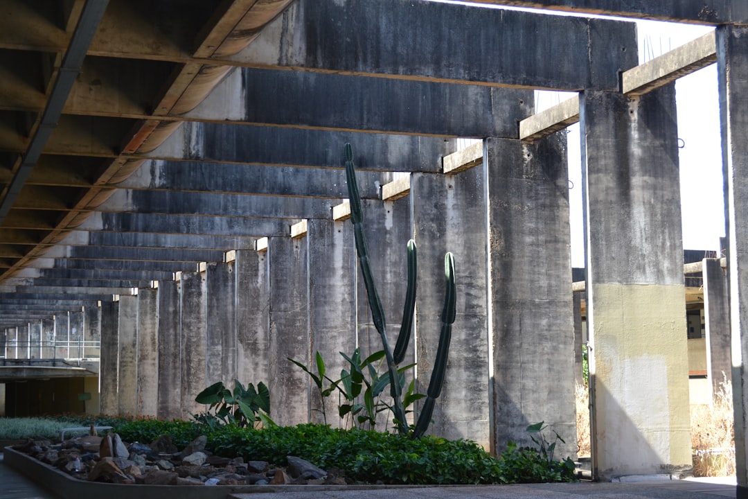 Photo Concrete patio